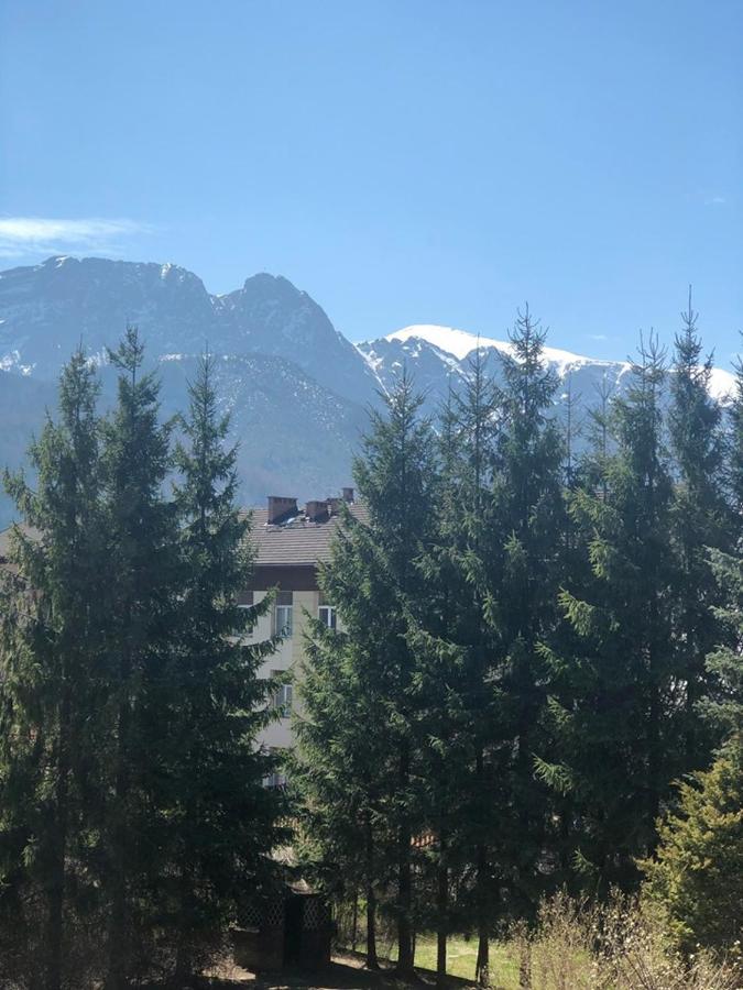 Vektron Apartment Zakopane Exterior foto